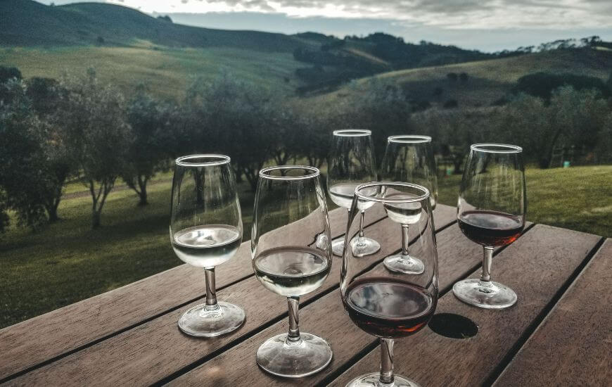 winery in waiheke