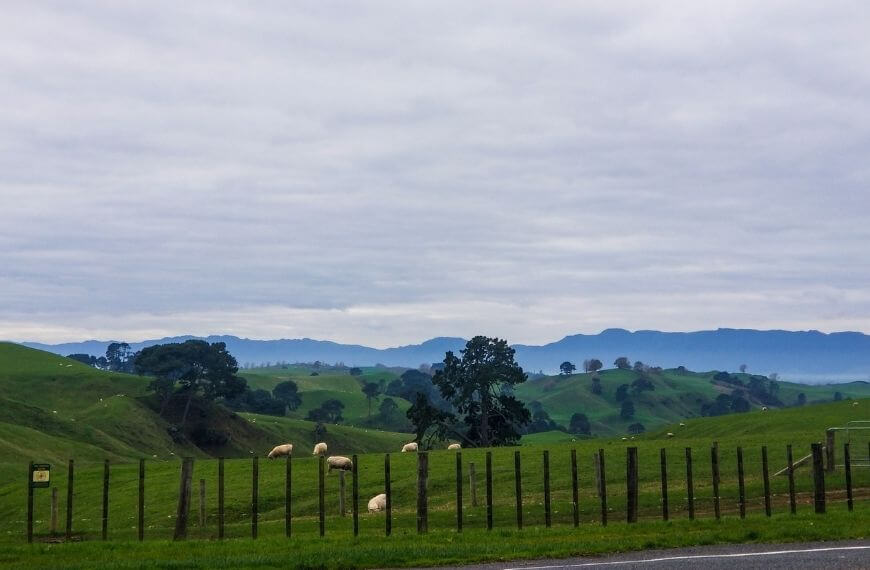 matamata landscape where the LOTR and hobbit movies were filmed