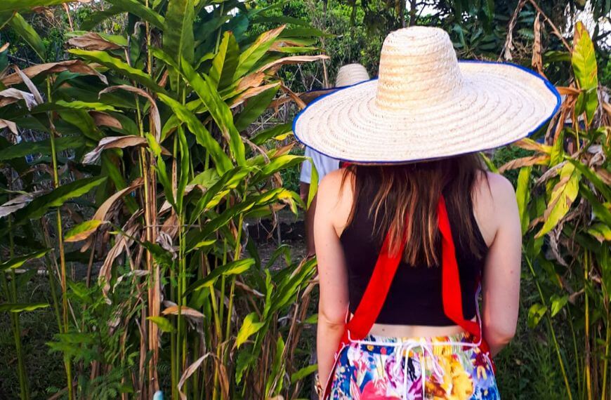 mewalking through corn fields in thailand