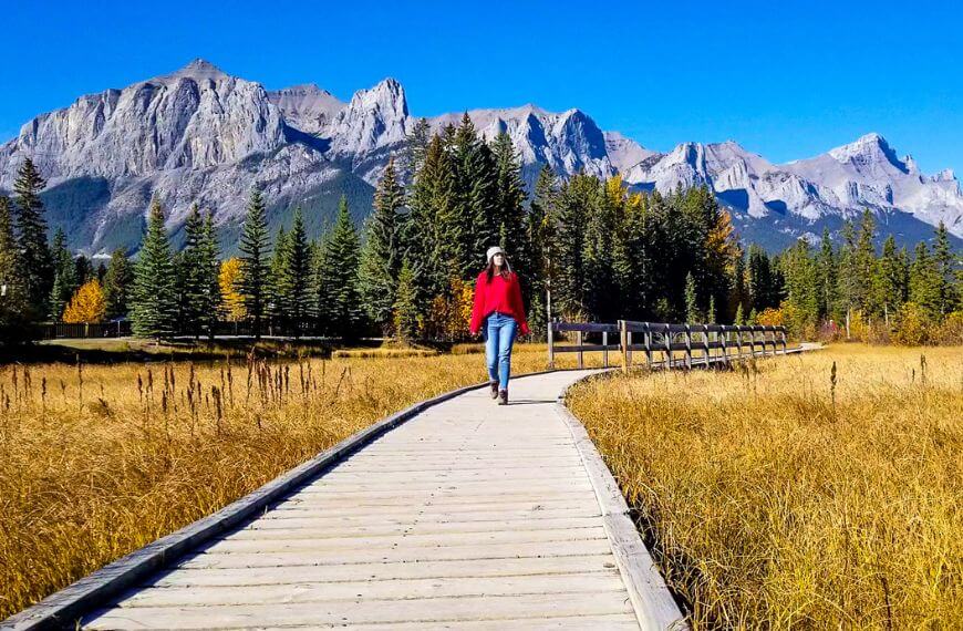 spring creek boardwalk with mountains in the background
