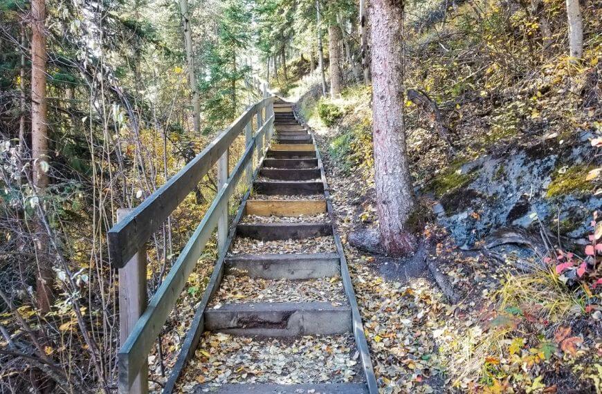 stairs from canmore downtown to the walking track through the forest