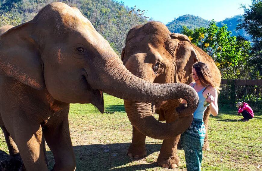 Me with an Elephant Sanctuary in Chaing Mai