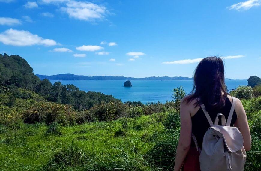 views of blue ocean and green foliage on the coromandel peninsula