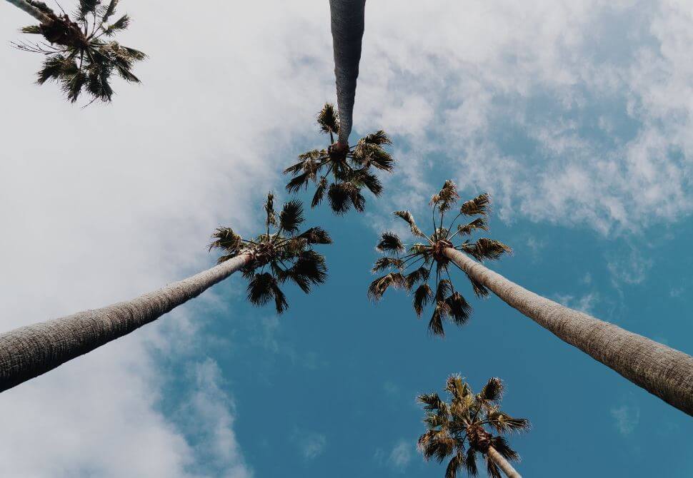 What age can you take a gap year?