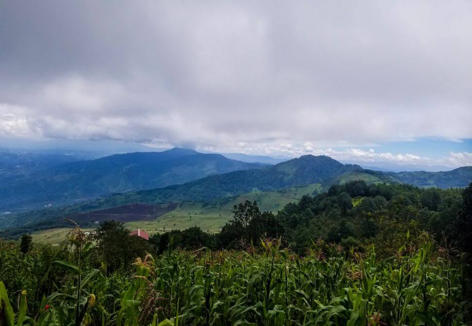 a low level view from the Acatenango volcano hike