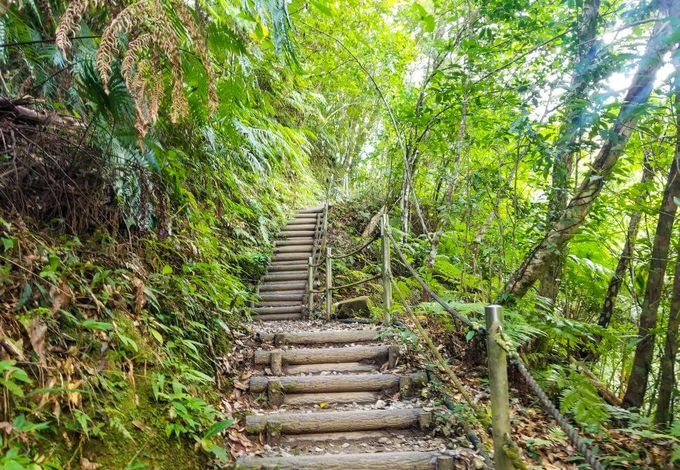 Wooden staircases on the way to Hiji Falls through the forest
