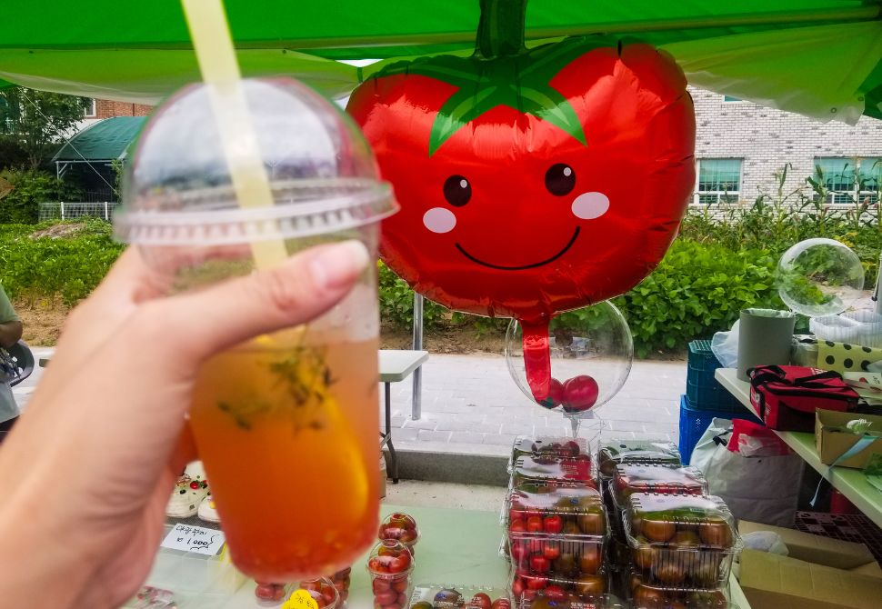 a tomato balloon and drink purchased at the tomato festival in Hwacheon Korea