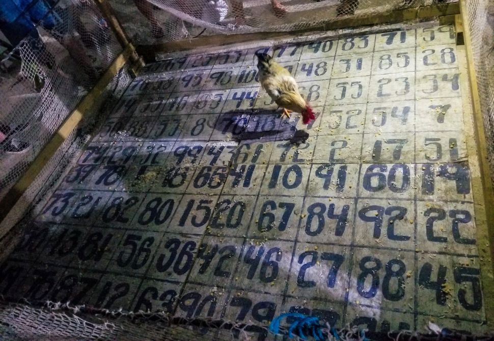 Chicken poop bingo board game in Belize