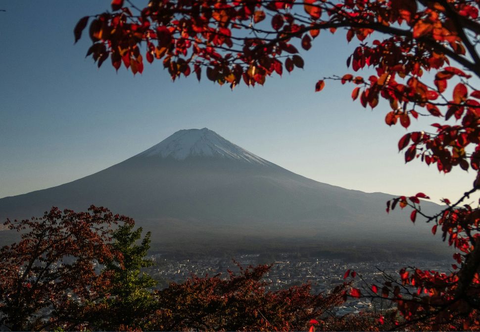 Red leaves on a tree frame this view of Mt Fuji - a common destination for the working holiday visa in japan