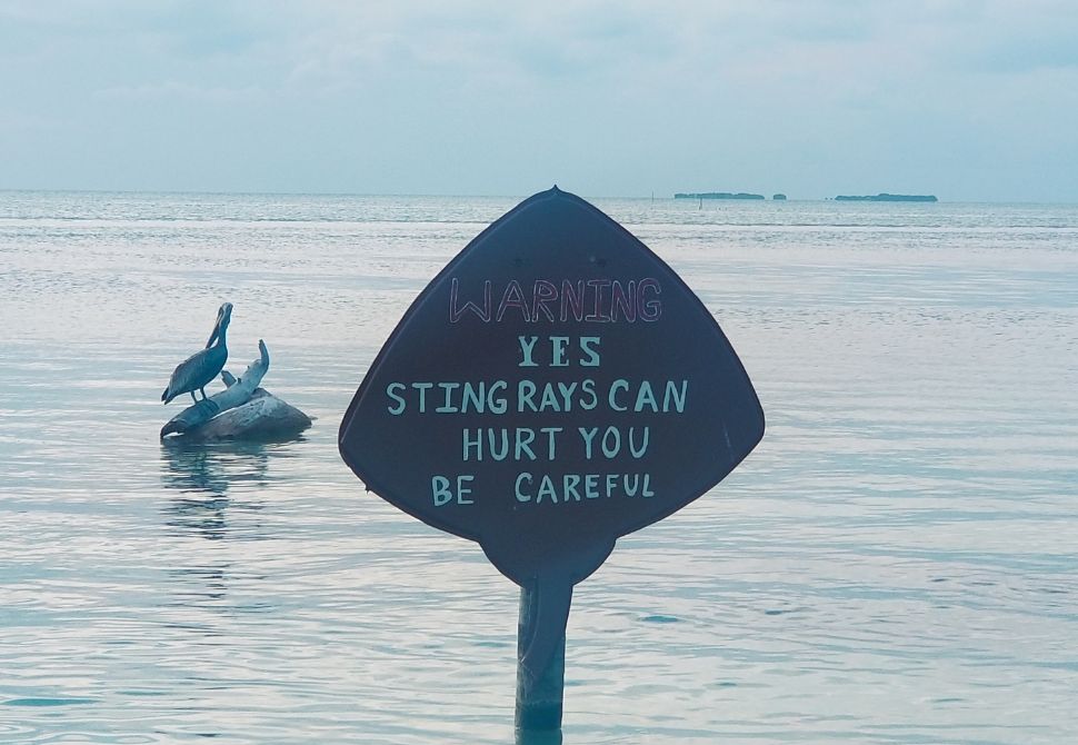 Warning signs on the beach in Belize