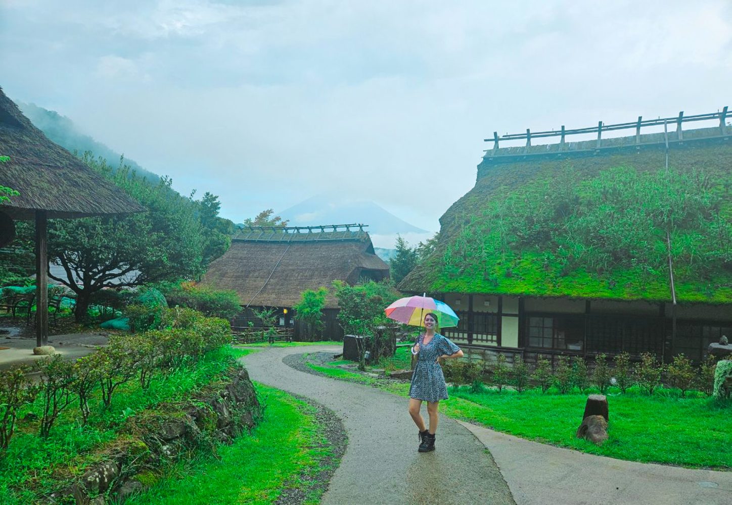 Saiko Iyashi no Sato Nemba: Traditional Village in Japan